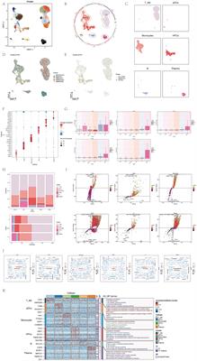 Unveiling the cellular landscape: insights from single-cell RNA sequencing in multiple myeloma